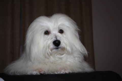 Mille i Dortmund 2012