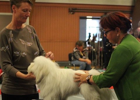 Casanova BIM i Årslev 2015