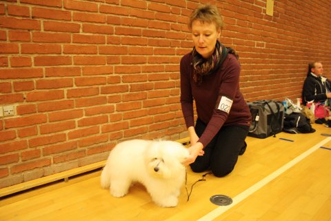 Mille i middelfart 2012