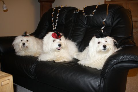 nytaarsaften 2012/13