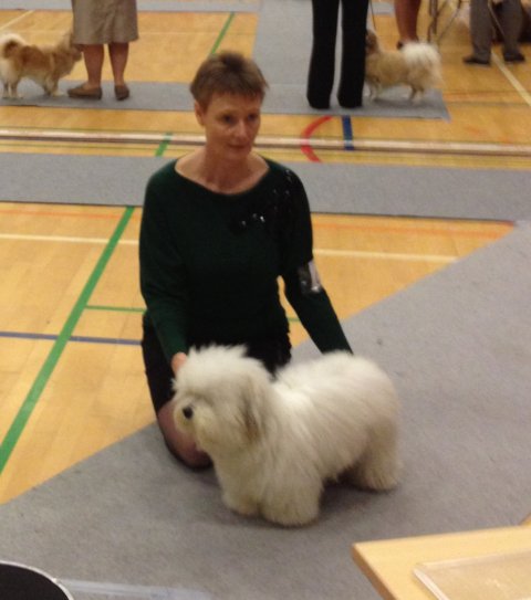 casanova i middelfart november 2013